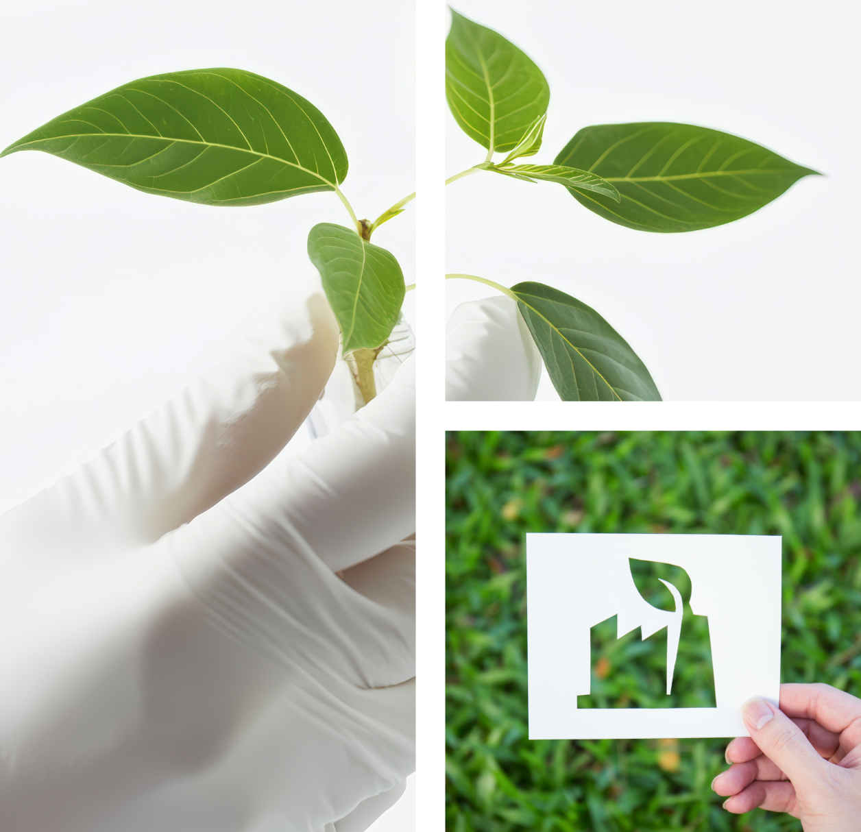 Nous prenons soin de notre environnement !