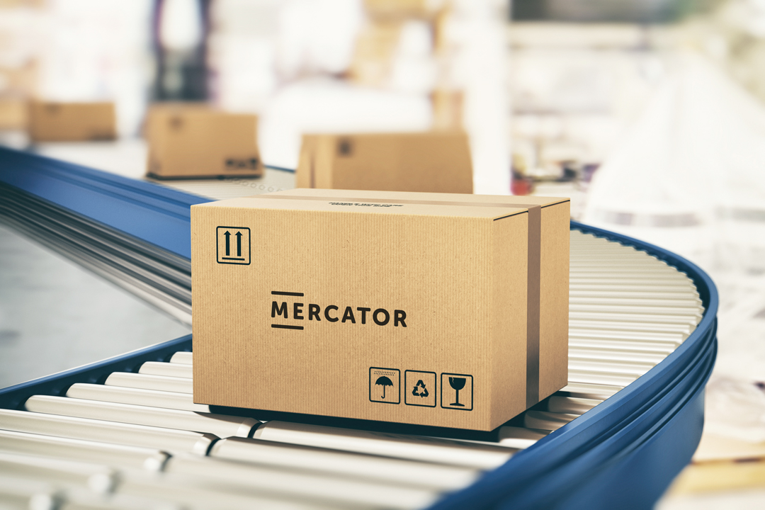 Composition du groupe Mercator Medical